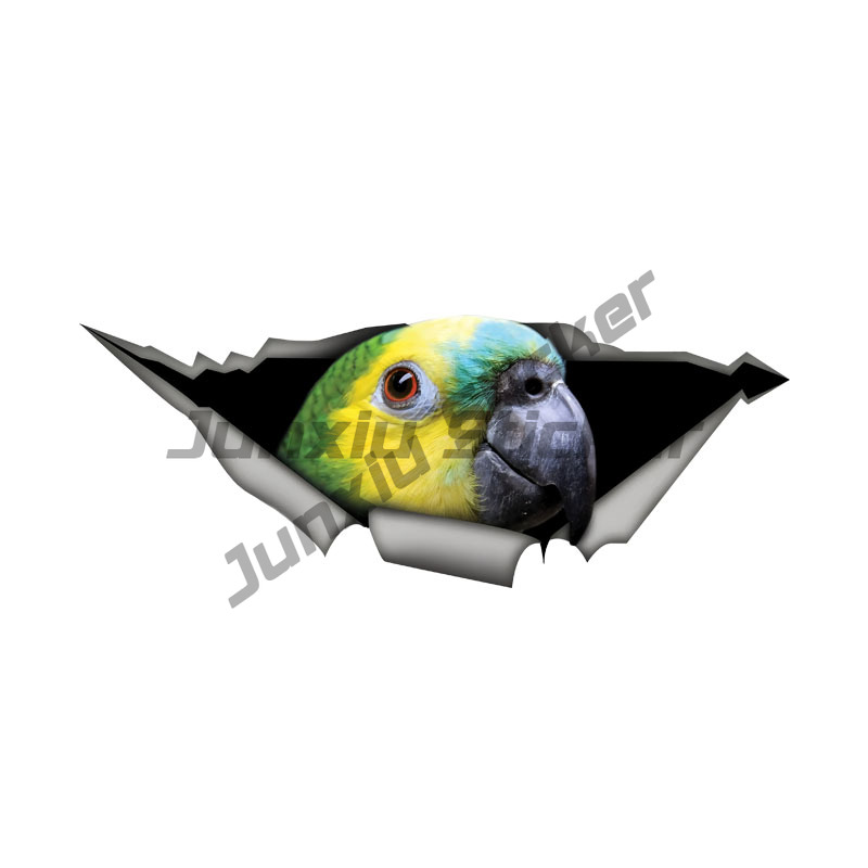 Blue Fronted Amazon Parrot Car - Car Accessories Amazon のレビューと価格