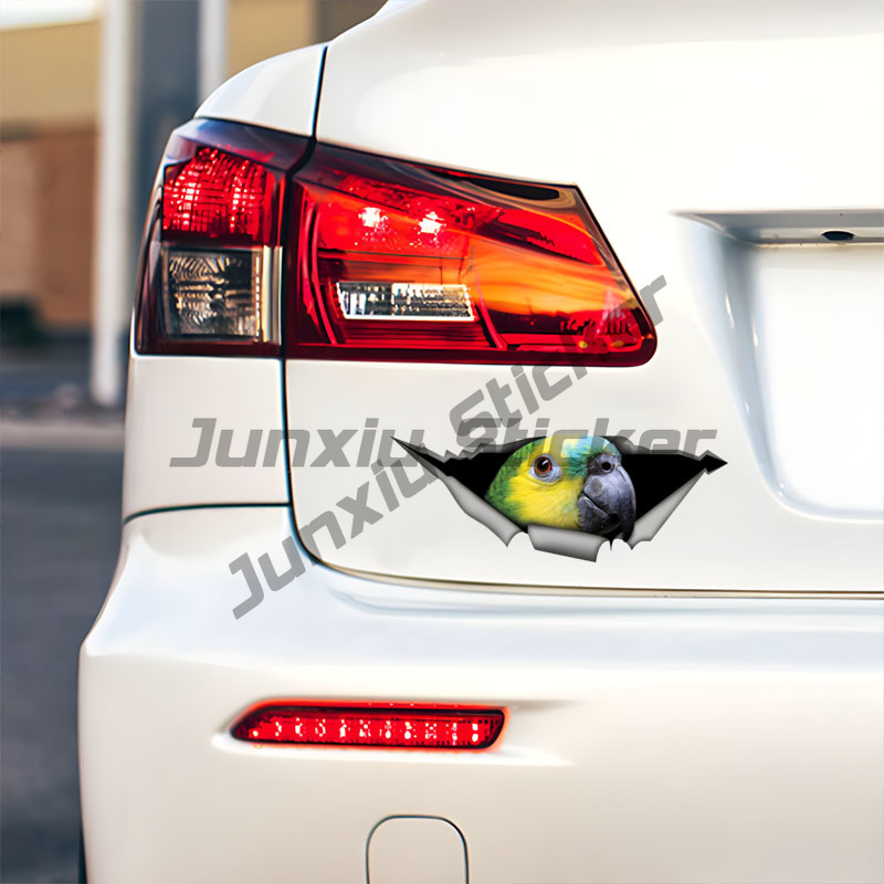 Blue Fronted Amazon Parrot Car - Car Accessories Amazon のレビューと価格