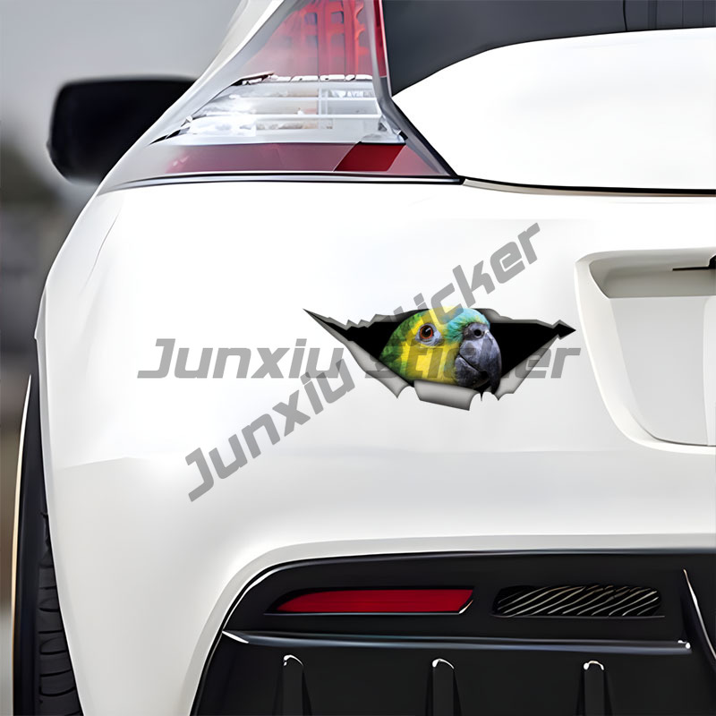 Blue Fronted Amazon Parrot Car - Car Accessories Amazon のレビューと価格